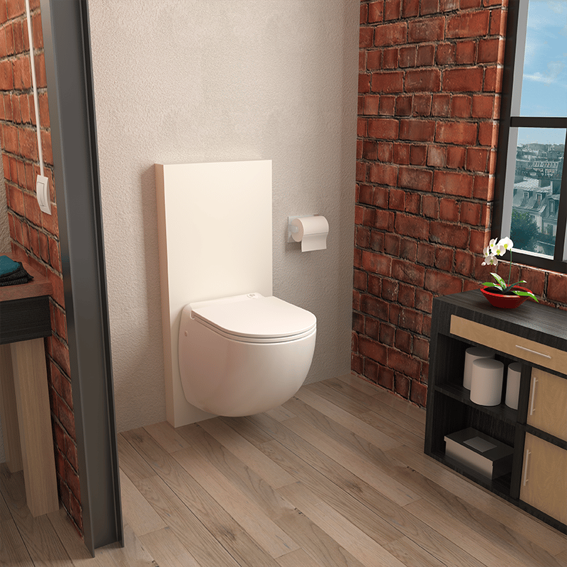 remplacement sanibroyeur paris 75020